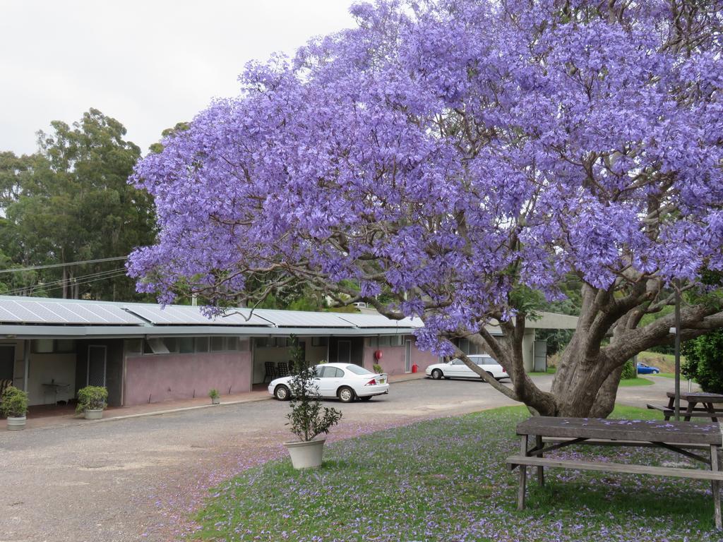 Ecotel Narooma North Narooma Bagian luar foto