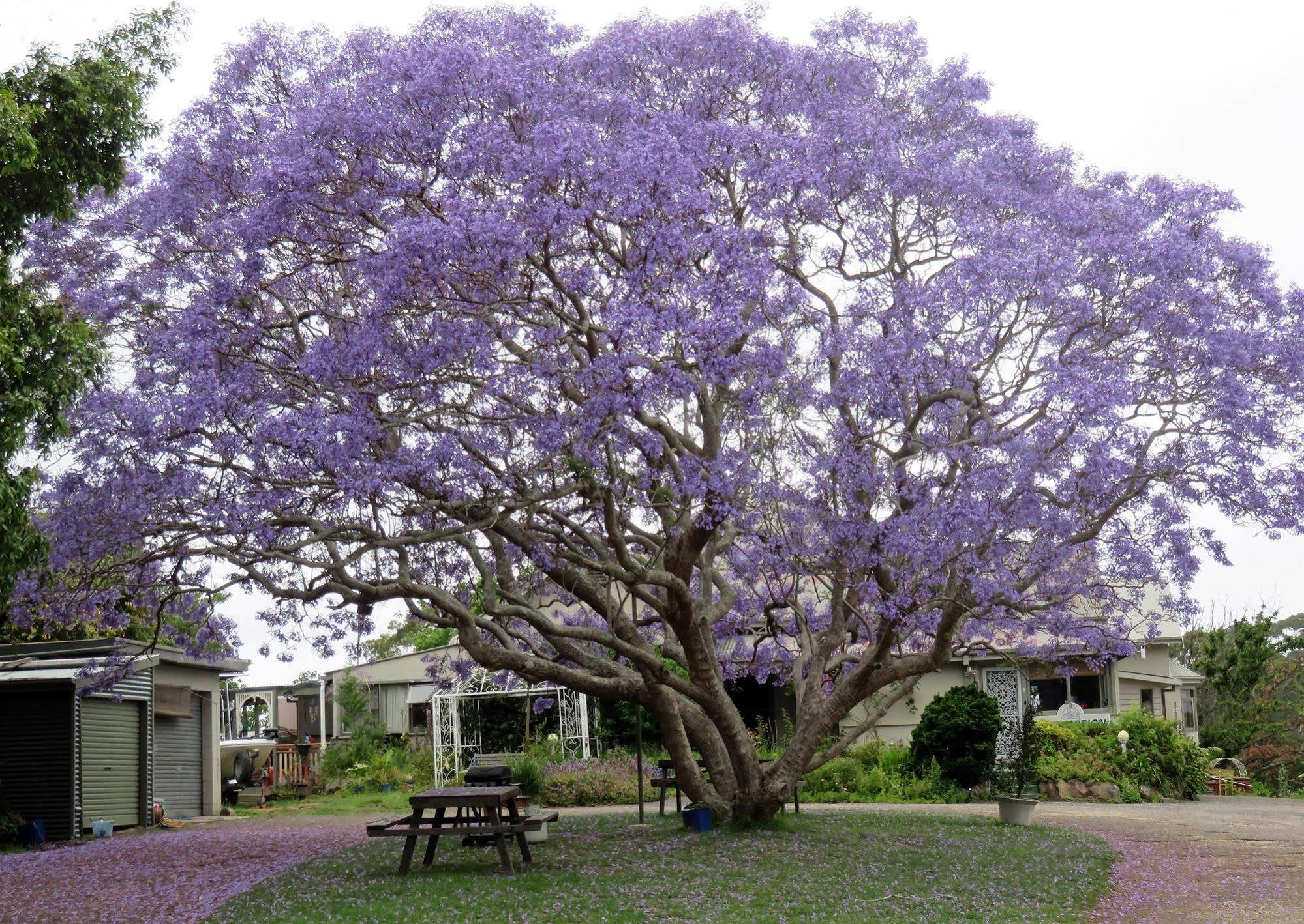 Ecotel Narooma North Narooma Bagian luar foto